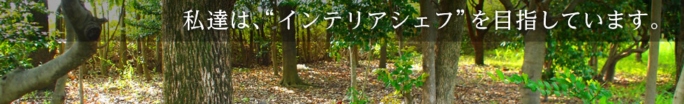 ���B�́A�g�C���e���A�V�F�t�h��ڎw���Ă��܂��B